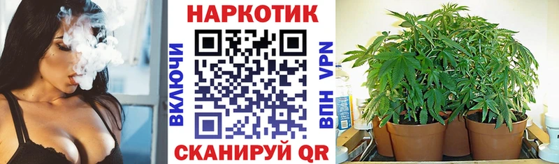 Купить наркотики сайты Обь Конопля  Мефедрон  Амфетамин  Гашиш 