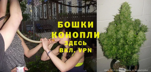 соль ск Балахна