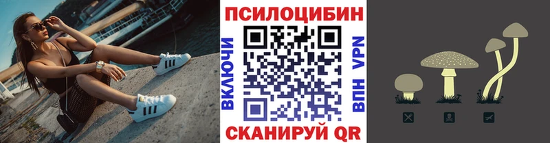Псилоцибиновые грибы Cubensis  купить  цена  Обь 